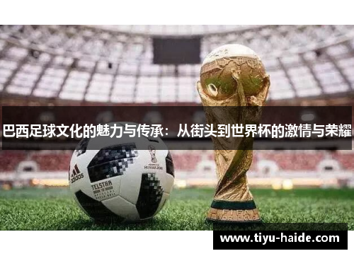 巴西足球文化的魅力与传承：从街头到世界杯的激情与荣耀