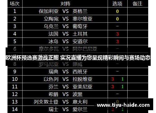 欧洲杯预选赛激战正酣 实况直播为您呈现精彩瞬间与赛场动态