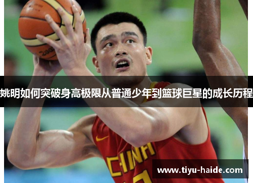 姚明如何突破身高极限从普通少年到篮球巨星的成长历程