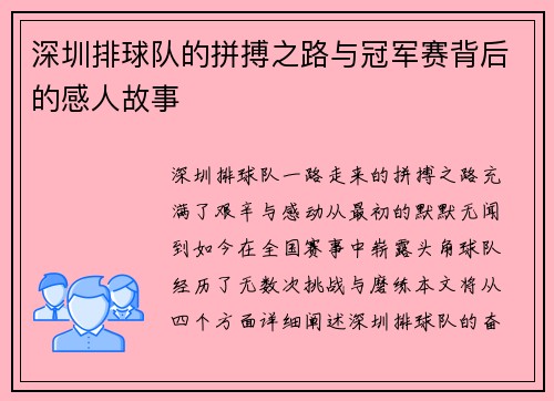 深圳排球队的拼搏之路与冠军赛背后的感人故事