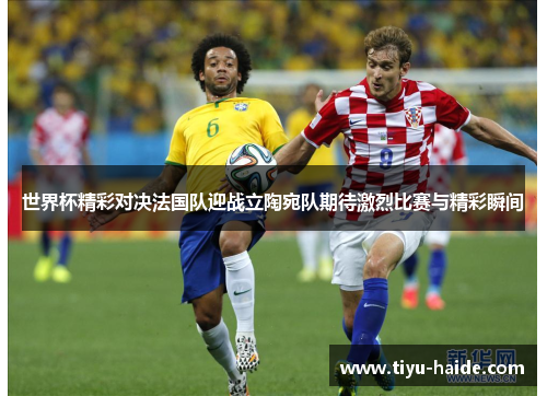 世界杯精彩对决法国队迎战立陶宛队期待激烈比赛与精彩瞬间